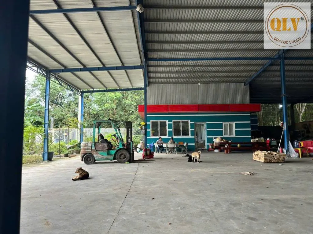 Cho thuê đất nhà xưởng Hớn Quản, Bình Phước, 5000m² kiên cố chịu tải tốt, giá rẻ