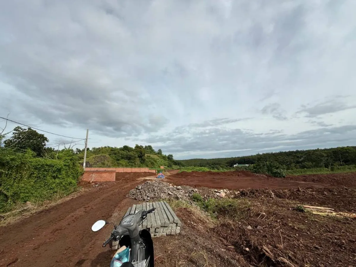 Bán đất Hà Huy Tập, Buôn Ma Thuột, 1200m2, đất cây lâu năm quy hoạch TMDV, đối diện KĐT Ân Phú