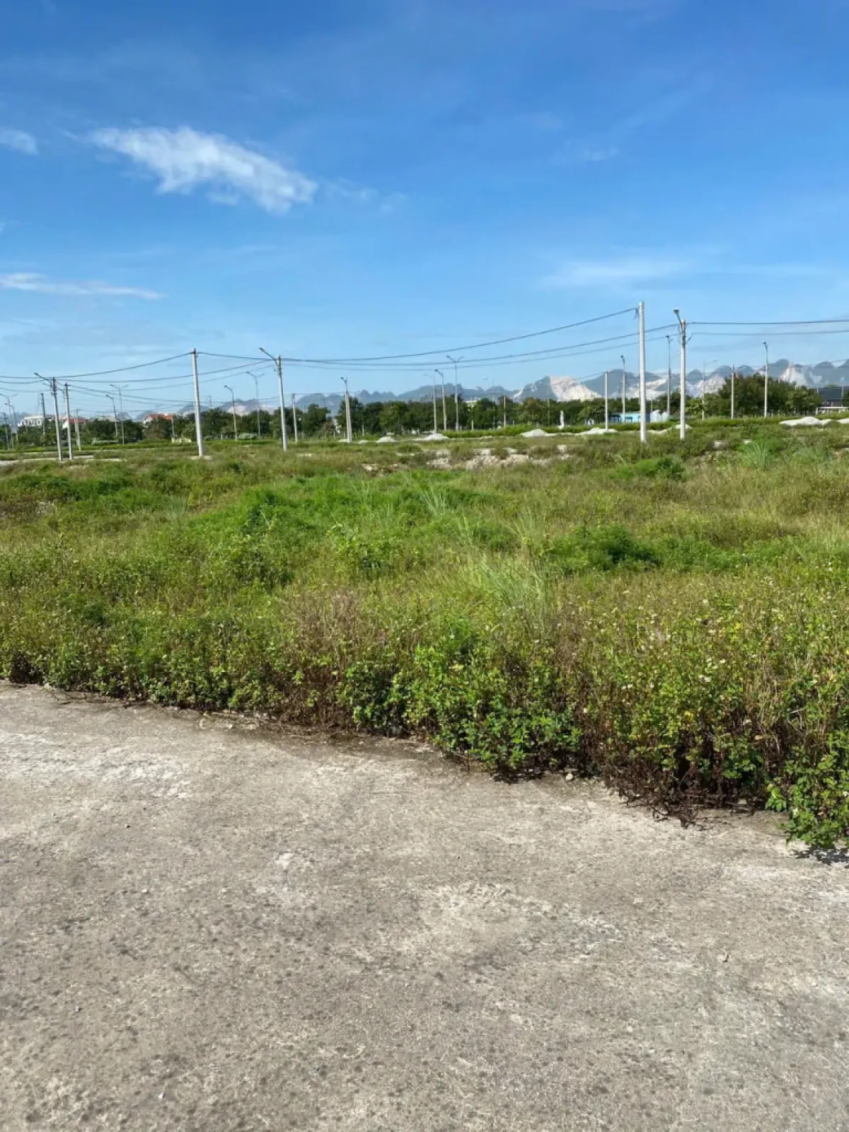 Bán đất đấu giá tại xã Tân Thanh, Ninh Bình, tỉnh Hà Nam cũ, dt 100m2 giá 2 tỷ