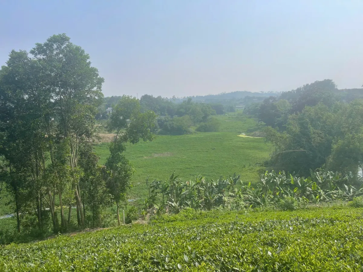 Bán 61.000m2, đất Kho Xưởng, Thôn Bột, Phú Thành, Lạc Thuỷ, Hoà Bình Giá 1.3tr/m2